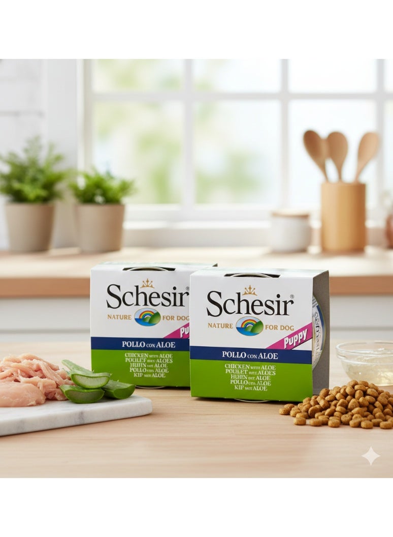 شيزير (Schesir) رعاية الجراء (Puppy) 🐾 - فيليه الدجاج مع الألوفيرا - مكونات طبيعية 100% - 300 جم (2 علبة × 150 جم) ✨